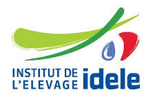 Idèle Idèle