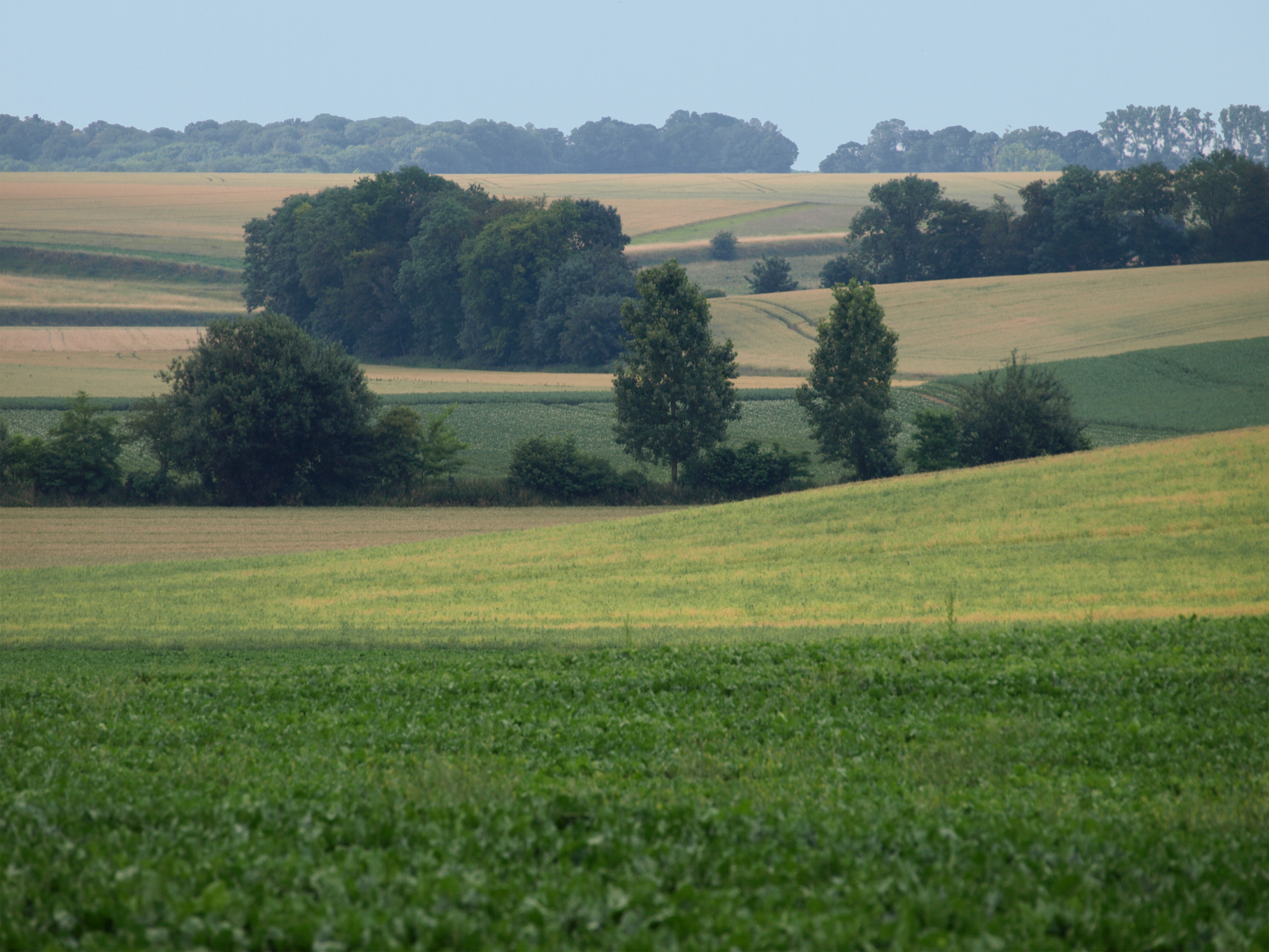 paysage expertise paysage expertise