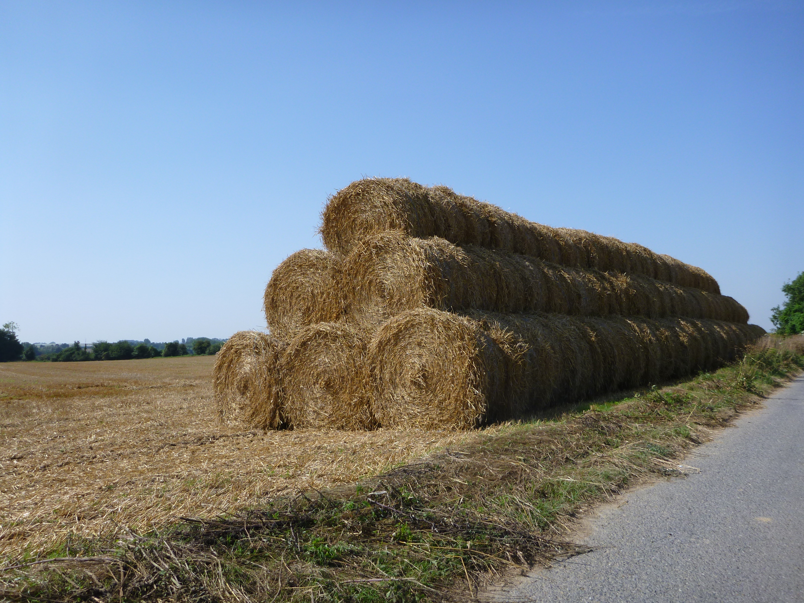 paille paille