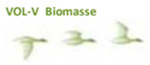 Vol V Biomasse Vol V Biomasse