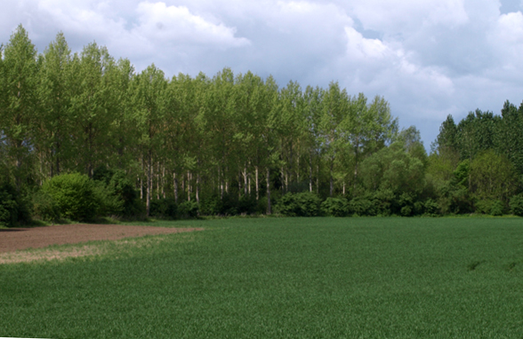 innovagr'eau innovagr'eau