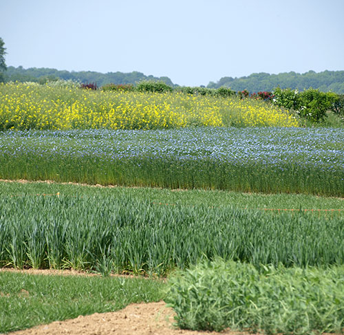 paysage acv paysage acv