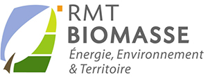 rmt biomasse