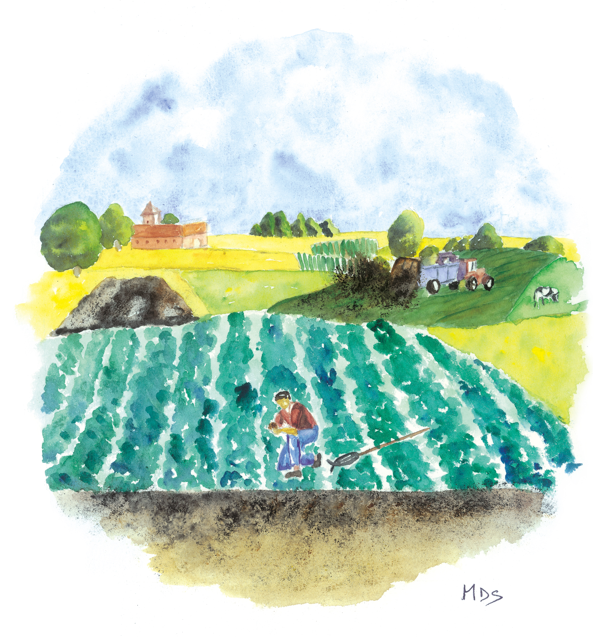 aquarelle