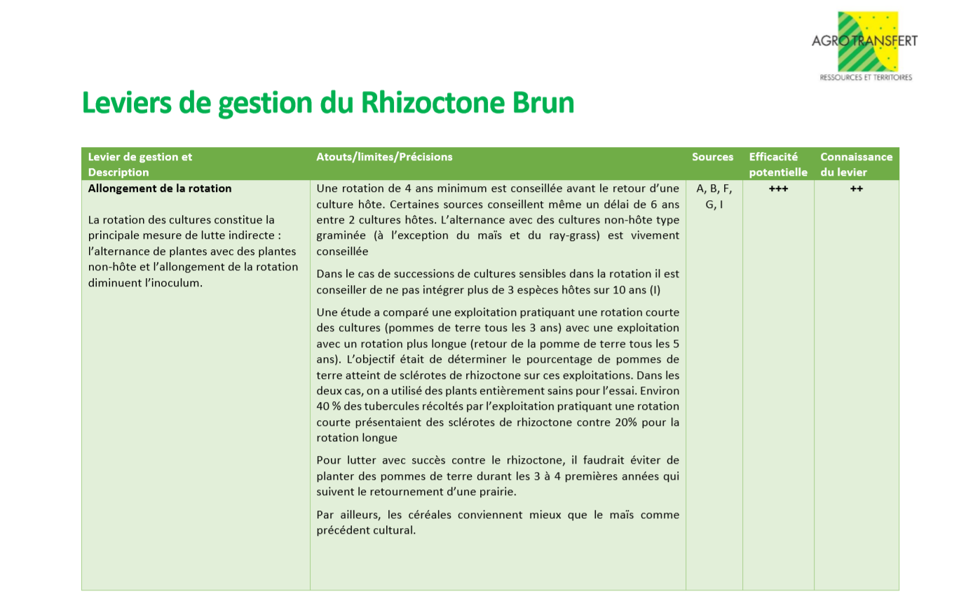 Leviers de Gestion rhizoctone 1 Leviers de Gestion rhizoctone 1