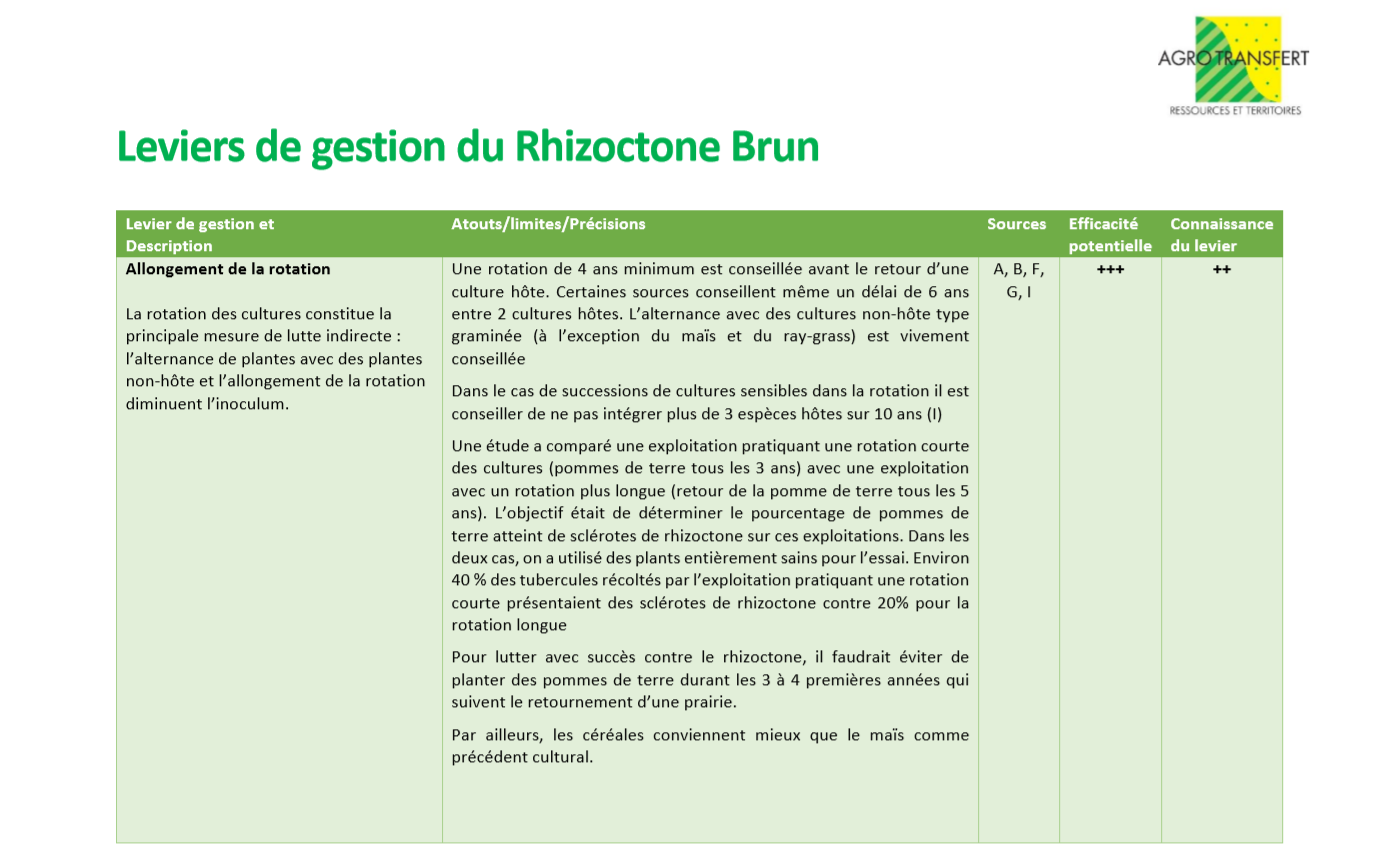 Leviers de Gestion rhizoctone 1