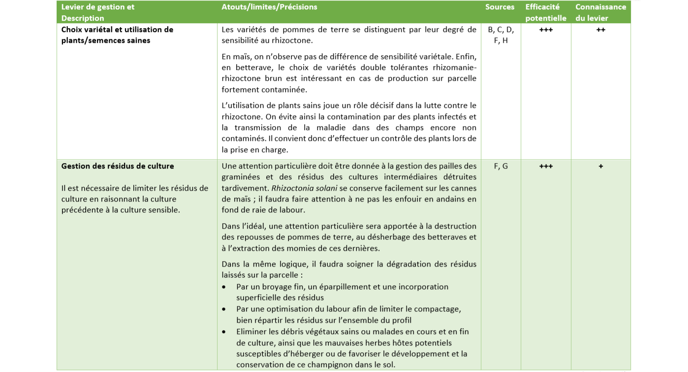 Leviers de Gestion rhizoctone 2 Leviers de Gestion rhizoctone 2