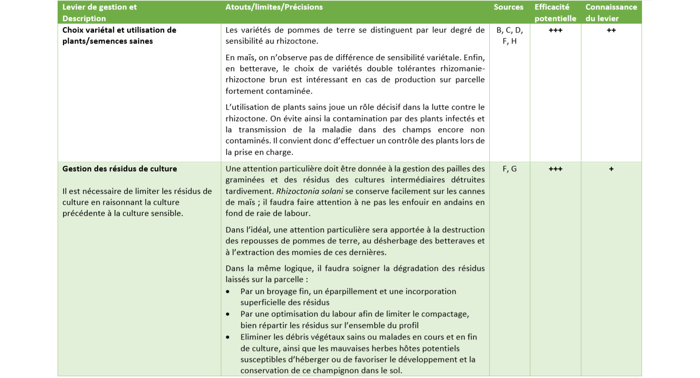 Leviers de Gestion rhizoctone 2