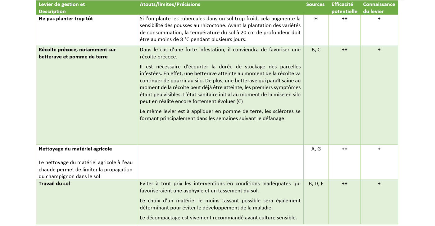 Leviers de Gestion rhizoctone 4 Leviers de Gestion rhizoctone 4