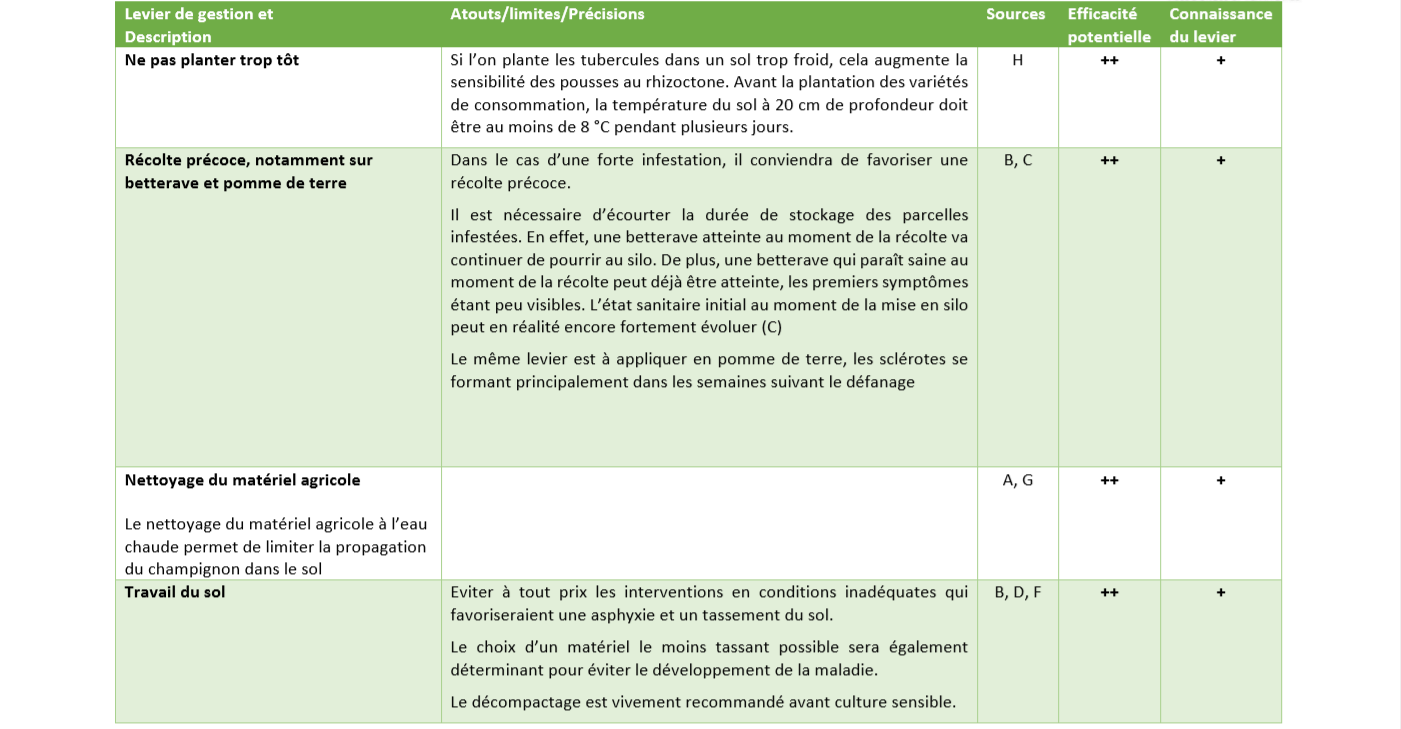 Leviers de Gestion rhizoctone 4