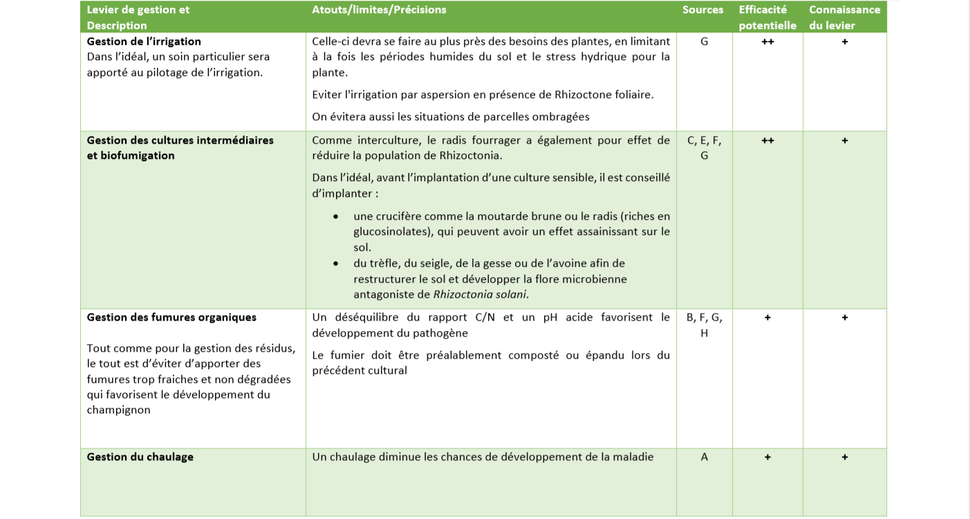 Leviers de Gestion rhizoctone 5 Leviers de Gestion rhizoctone 5