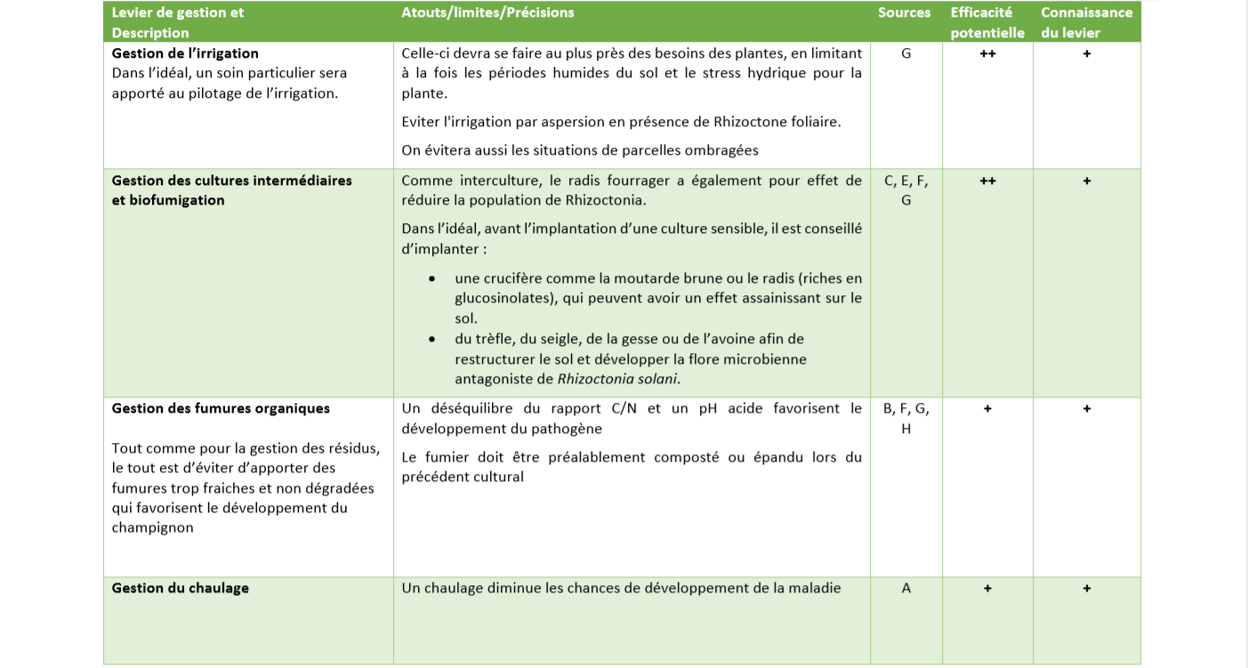 Leviers de Gestion rhizoctone 5