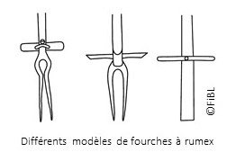 fourches à rumex