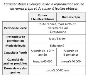 Modes de reproduction rumex