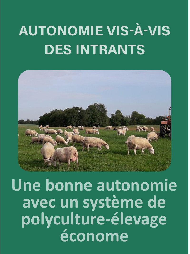 AUTONOMIE INTRANTS