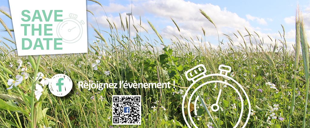 HEADER SITE AGT HEADER SITE AGT
