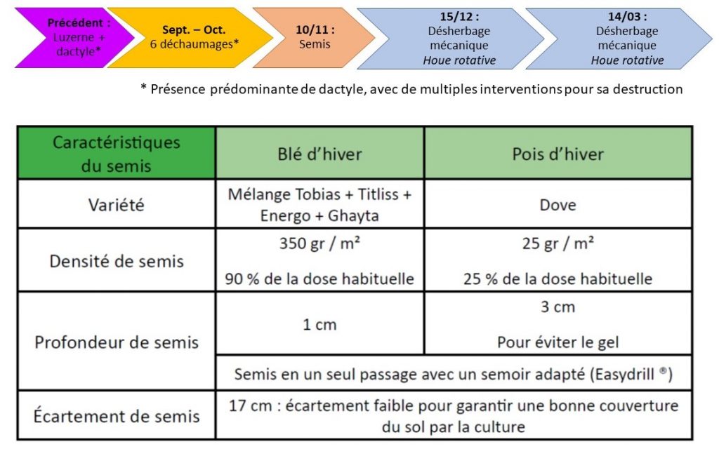 Itinéraire technique de l'association Blé - Pois