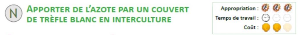 Apporter de l'azote par un couvert de trèfle blanc en interculture