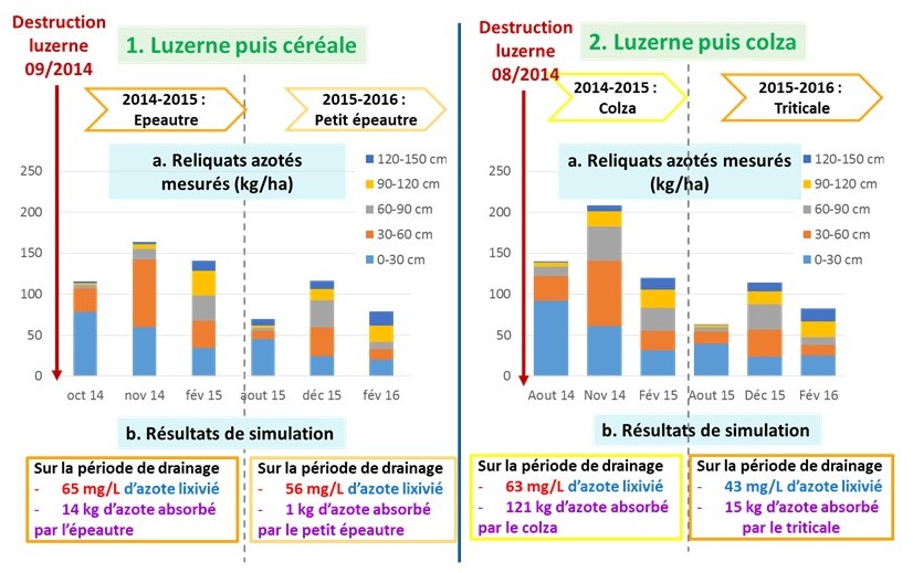 Résultats du projet ENBIO sur les flux d'azote après luzerne - comparaison de cas