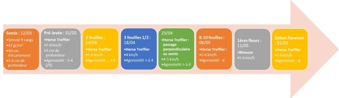 Itinéraire technique du desherbage de la feverole