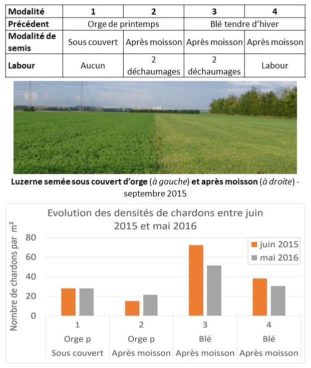 itineraire technique et resultats obtenus de different modes de semis de la luzerne