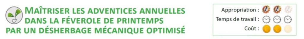 Maitriser les adventices annuelles dans la féverole de printemps par un désherbage mecanique optimise