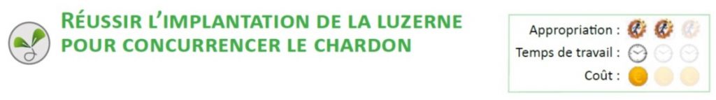 Reussir l'implantation de la luzerne pour concurrencer le chardon