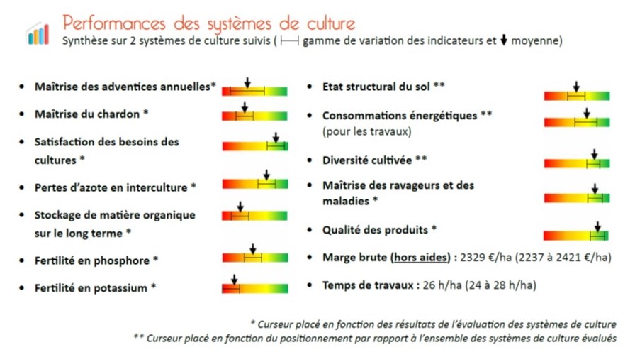 Peromances des systèmes légumiers avec luzerne