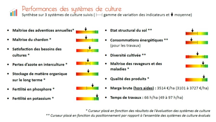 performances des systèmes légumiers sans luzerne