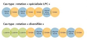 les 2 types de SDC LPC bio étudiés