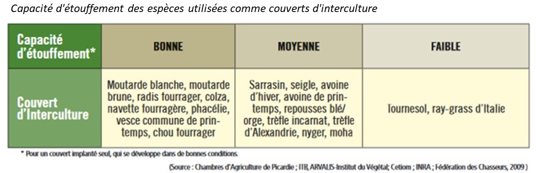 Capacité d'etouffement de plusisuers espèces qui peuvent être implantées en interculture