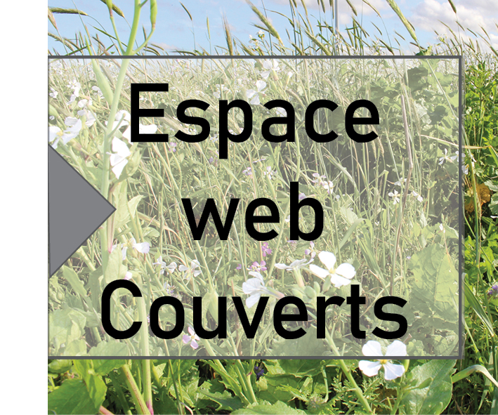 Espace web couverts