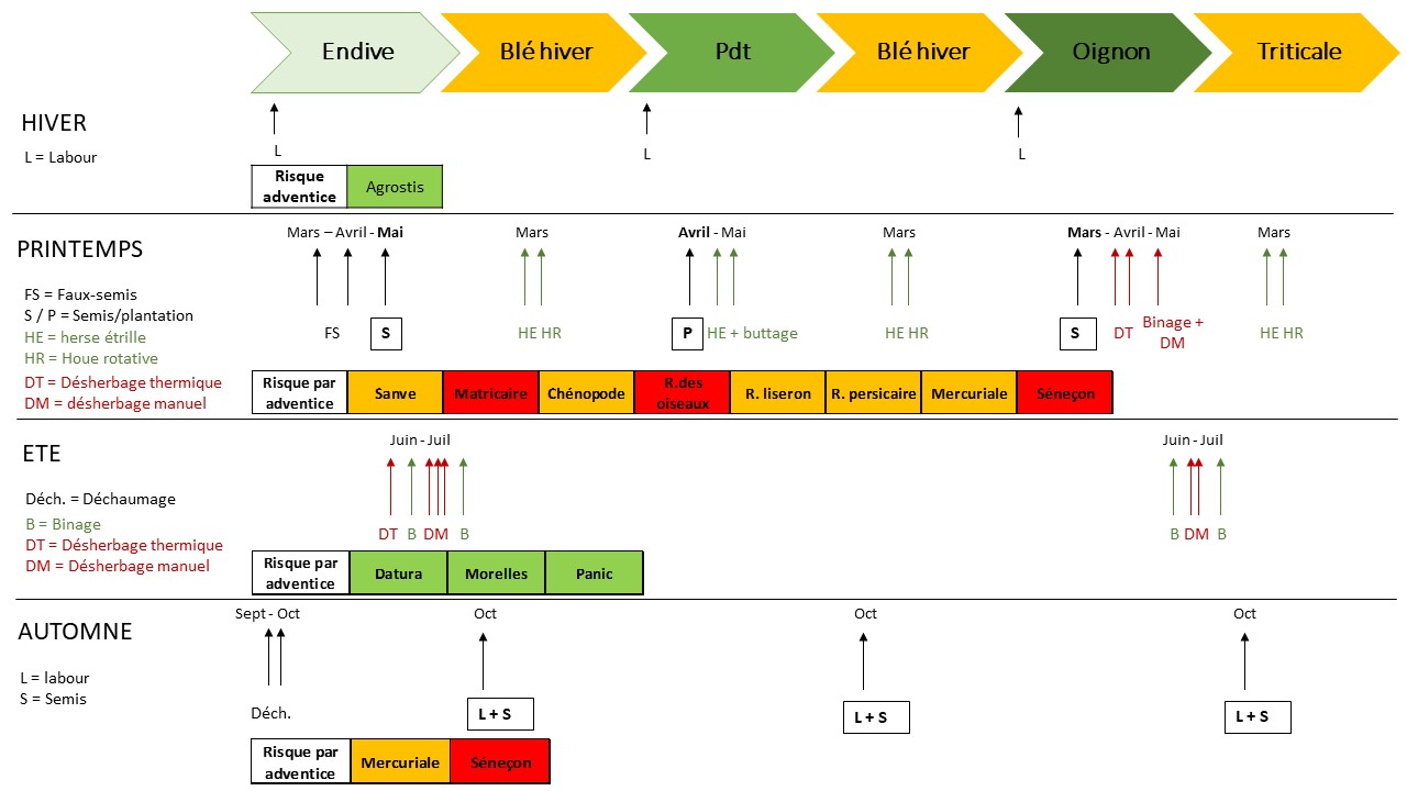 Decription et valuation d'une stratégie de gestion des adventices annuelles