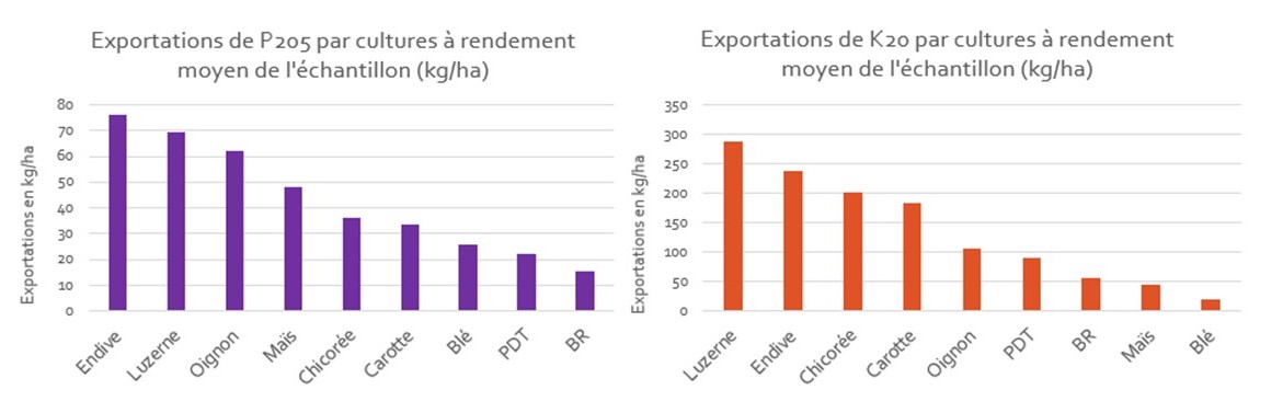 Exportations P et K moyens des cultures de srotations enquetees