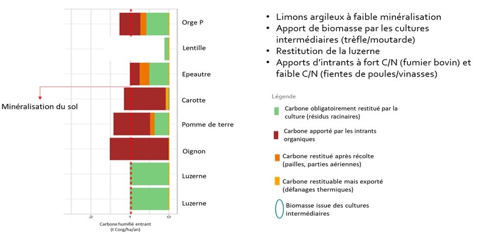 Flux de carbone dans la rotation de l'exploitation 6