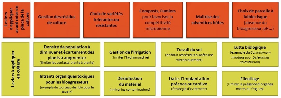 Liste leviers de gestion des bioagresseurs telluriques