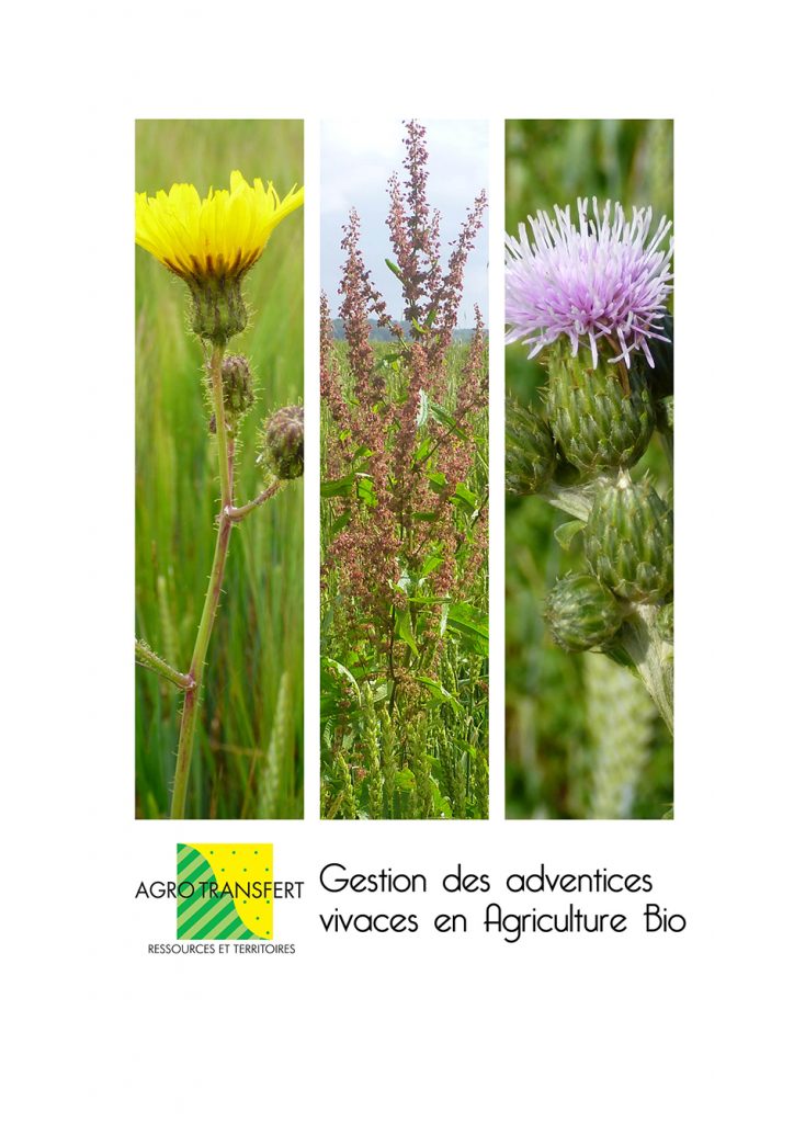 Tout savoir sur la gestion des adventices vivaces en AB – Agro Transfert