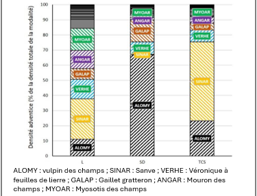 Schéma montrant la composition floristique selon la technique d'implantation de la culture