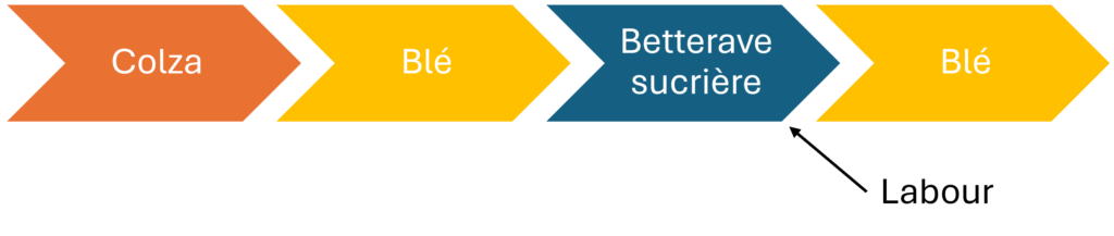 Proposition 1 de rotation avec 1 labour