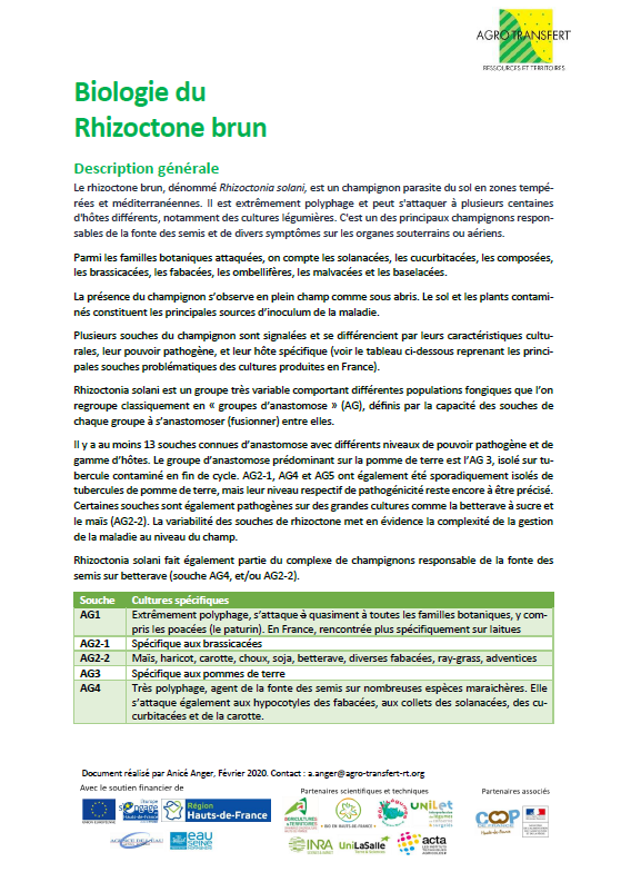 Fiche Biologie Rhizoctone Brun