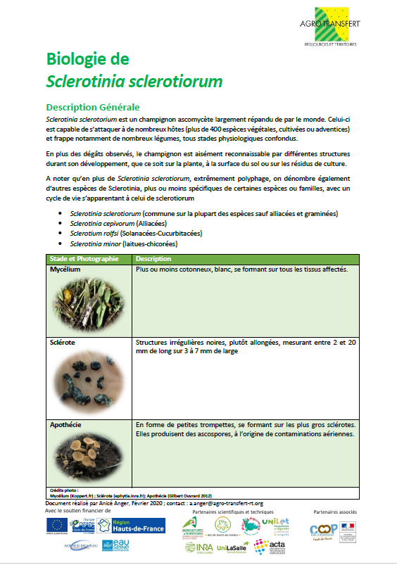Fiche Biologie Sclerotinia Scl.
