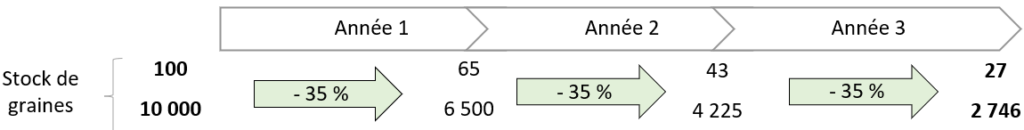 Schéma de l'evolution du stock semencier du chenopode blanc au cours de différentes années