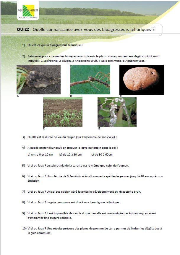 Quizz bioagresseurs Telluriques
