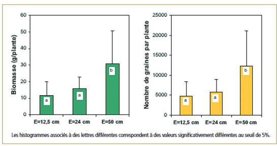 Effet de l'ecartement sur la production semencière. Source : INRAE Dijon