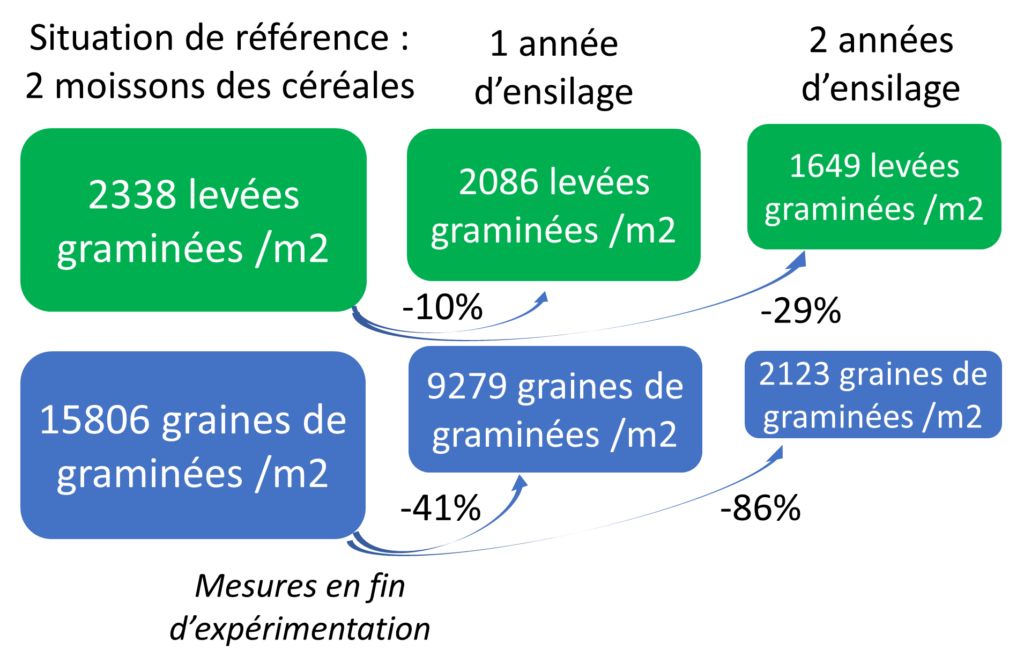 Expérimentation ensilage . Source : Agro-Transfert