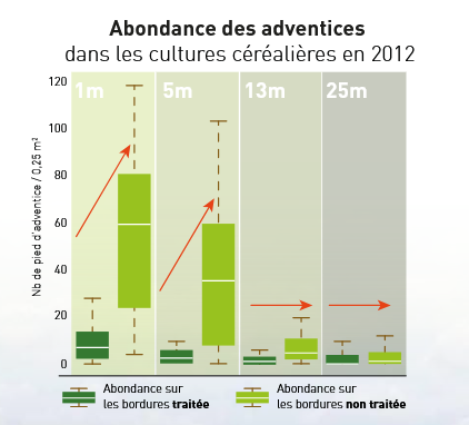 Abondance des adventices selon la distance à la bande enherbée. Source : Agri-faune