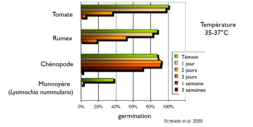 Inactivation des mauvaises herbes pendant la fermentation mésophile