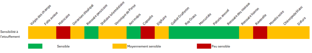 Sensibilité des adventices à l'étouffement . Source : Agro-Transfert
