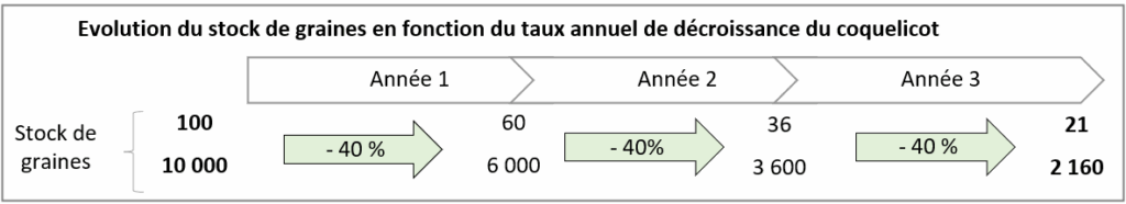 Evolution du stock semencier du coquelicot. Source : Agro-Transfert