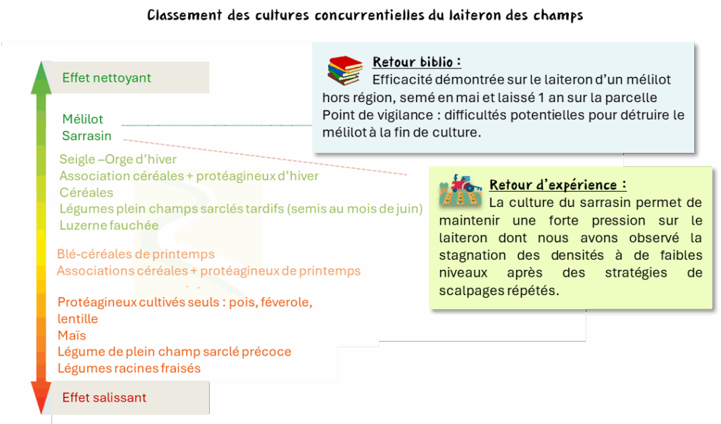 Cultures concurrentielles du laiteron des champs (Source : Agro-Transfert RT, 2024)